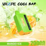 VAZPE Cool Bar 20000 Puffs Svapo usa e getta - Ribes nero - Image 7